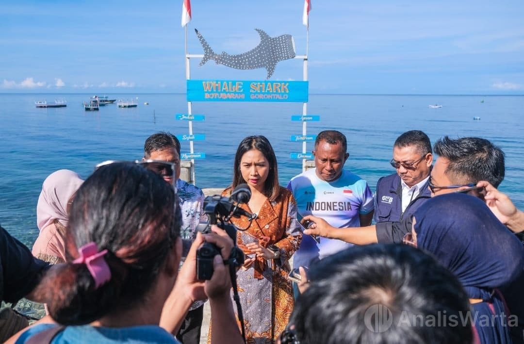 Hiu Paus Botubarani: Wisata Raksasa yang Butuh Sentuhan Lembut