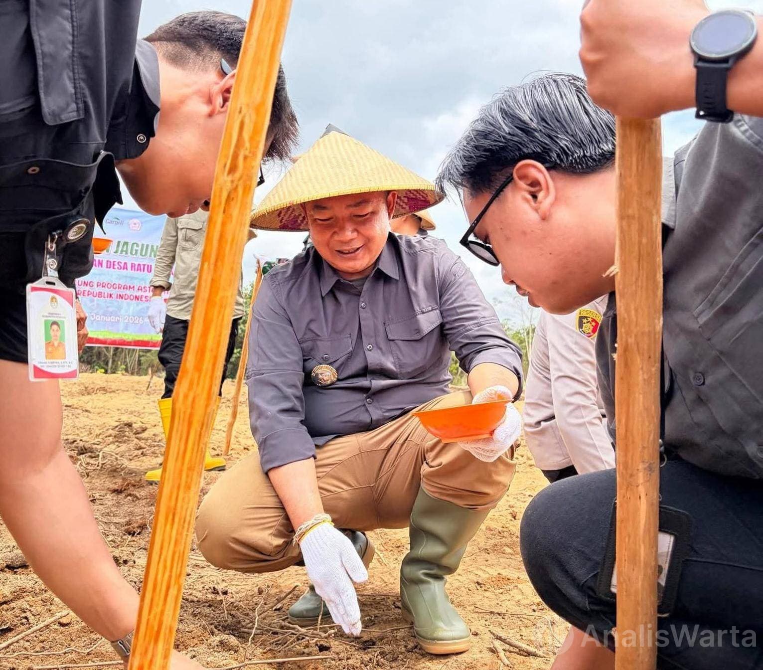 Bupati Alexander Tanam Jagung, Jadi Penanda Desa Ambil Peran Soal Pangan