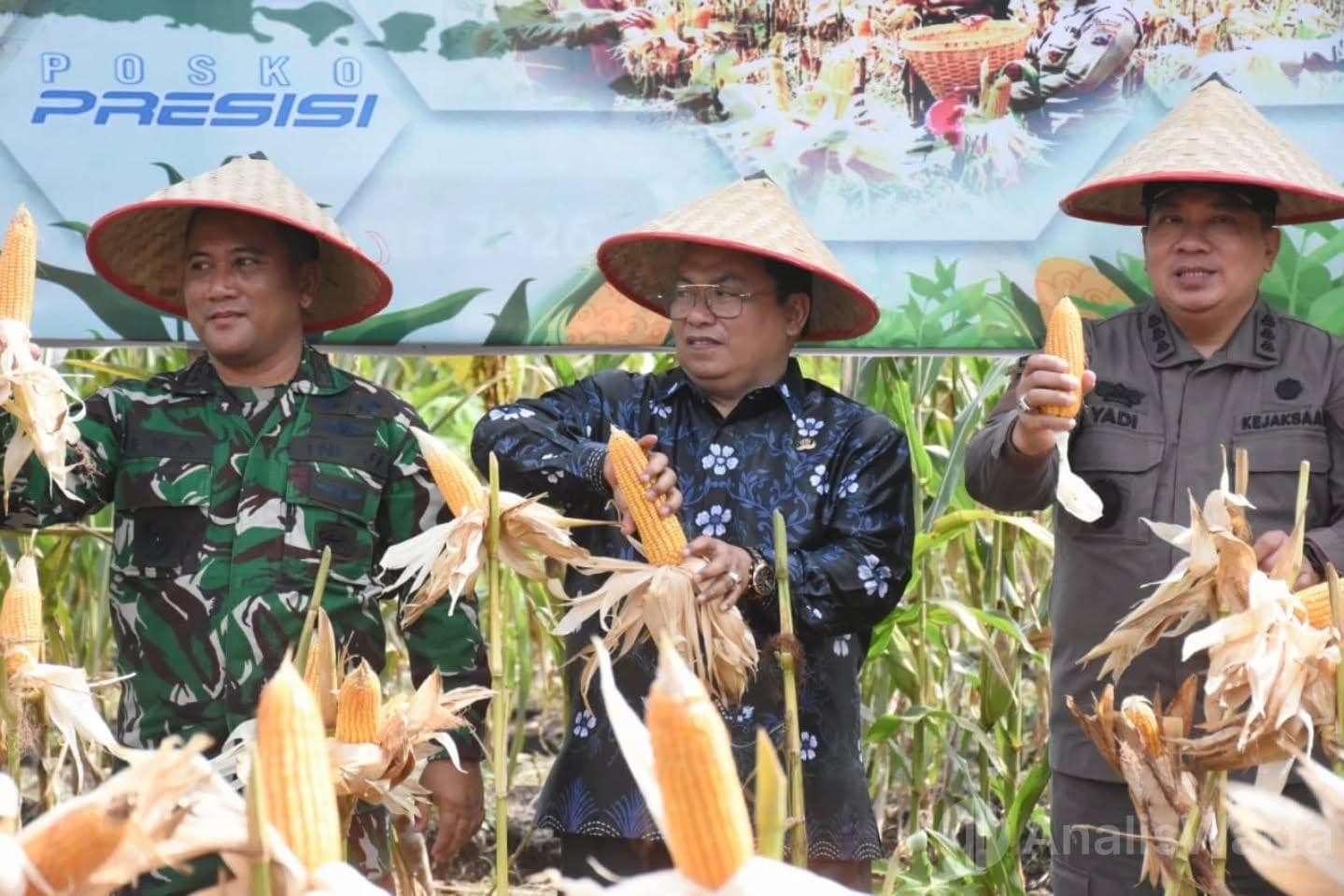 Jagung Kubu Raya Menjulang, Wabup Sukiryanto Yakin Jadi Penopang Ketahanan Pangan Nasional